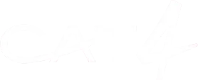 CAT4 Logo 2