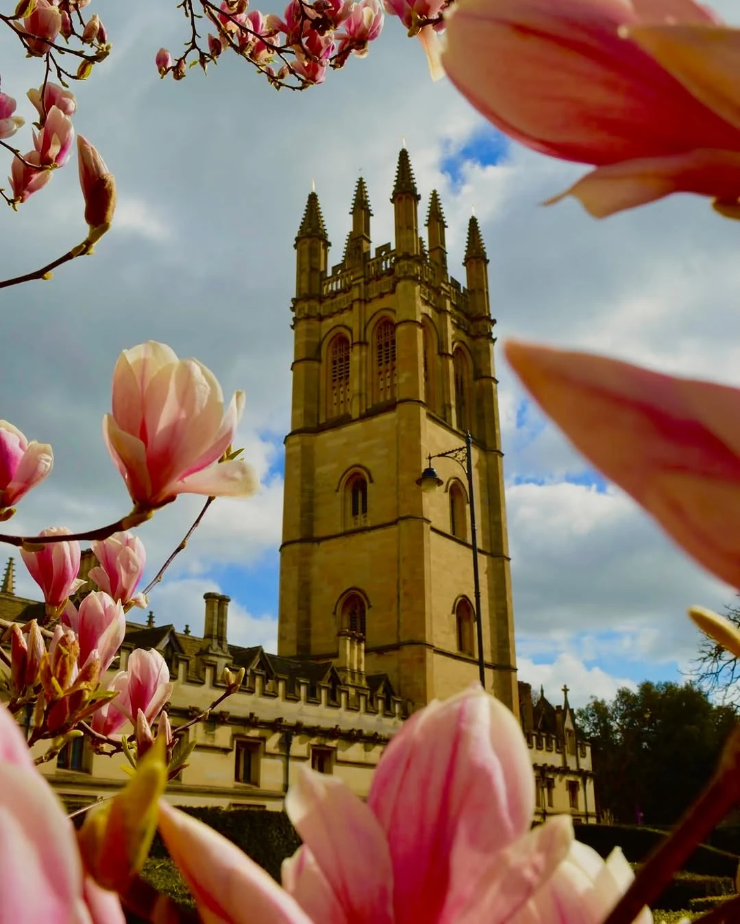Oxbridge — мечта или реальность? - 11