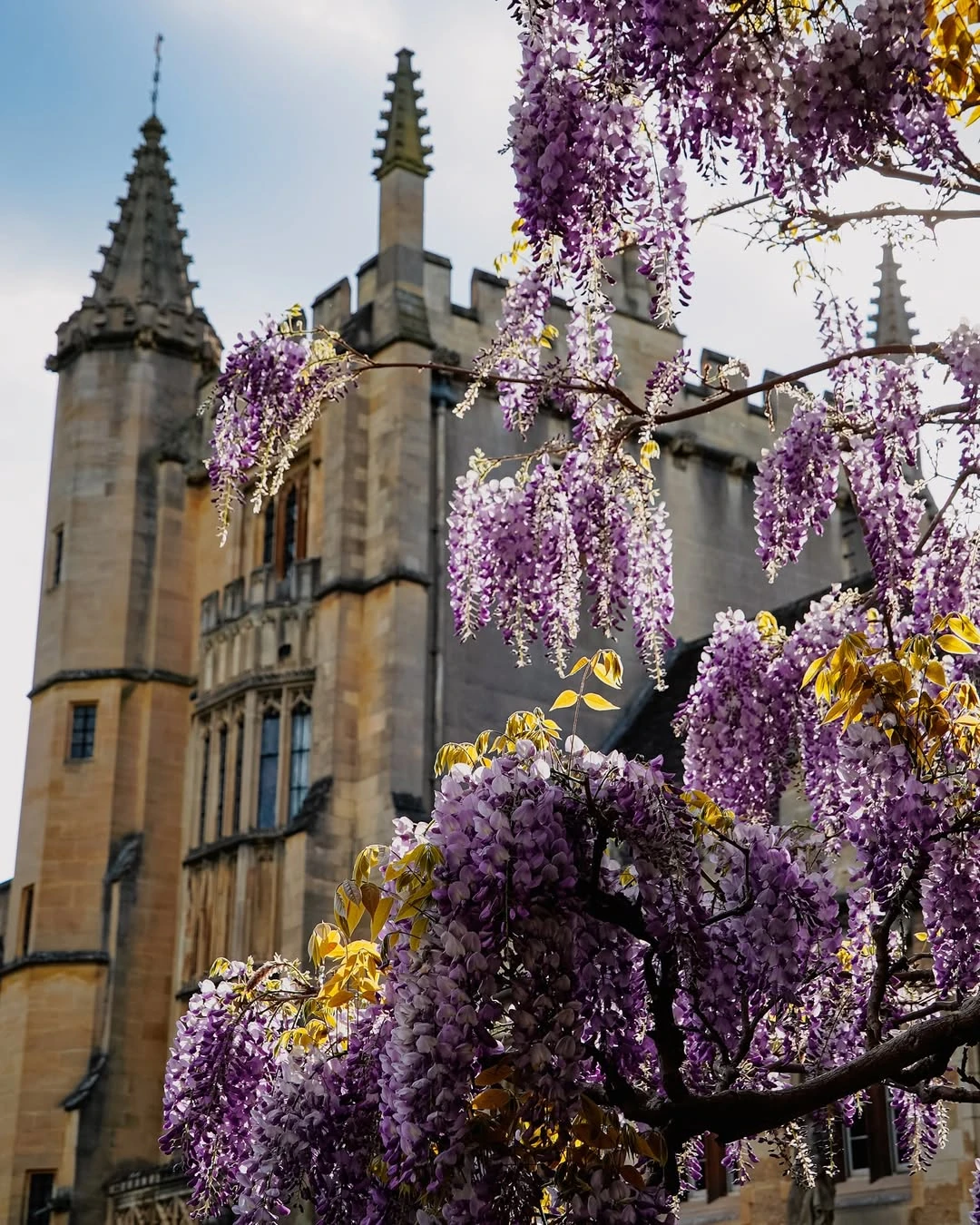 Oxbridge — мечта или реальность? - 7